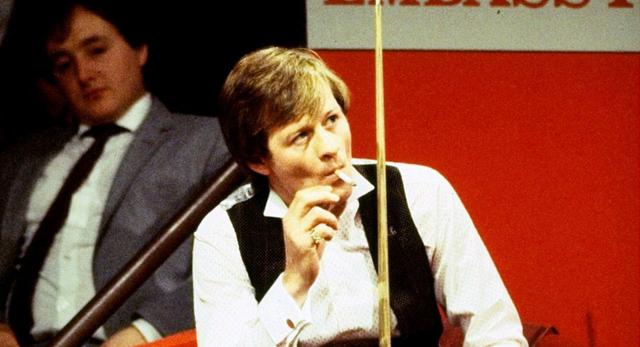 球迷和专家 球迷和专家